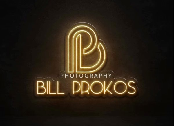Top rated wedding photographers: Bill Prokos Photography